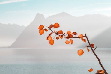 Stage de sophrologie 17 mai 2025 : mieux gérer ses émotions avec un corps et un esprit relâchés.