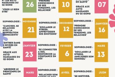 Stage « Soulager le stress, apprivoiser ses émotions » samedi 12 décembre 2026 à Ramonville