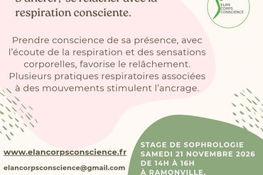 Stage « Soulager le stress, apprivoiser ses émotions » samedi 12 décembre 2026 à Ramonville